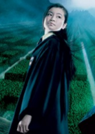 哈利·波特与火焰杯(英美2005年迈克·纽维执导电影)