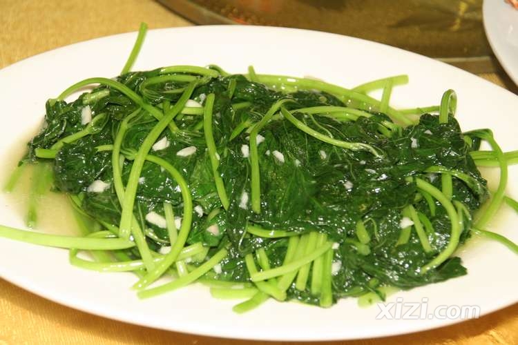 红薯叶 红薯叶