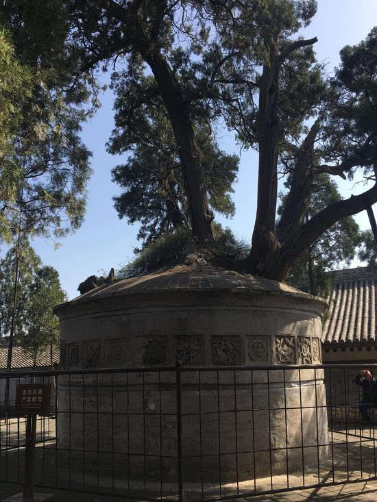 司马迁(西汉史学家、散文家) 司马迁(西汉史学家、散文家)