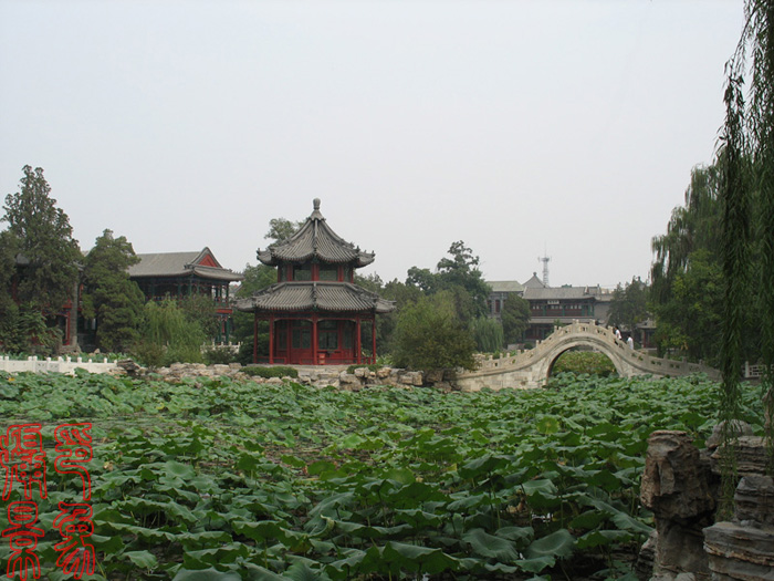 古莲池 古莲池