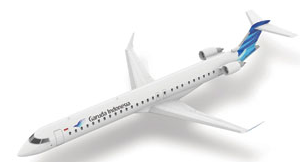 印度尼西亚鹰航空公司