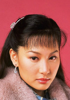 千谎百计(2008年黄宗泽、陈键锋主演电视剧)