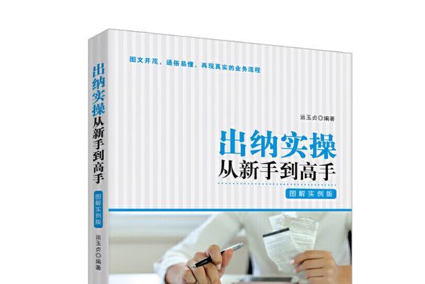 出纳实操从新手到高手：图解实例版