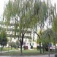 菏泽高科职业技术学校
