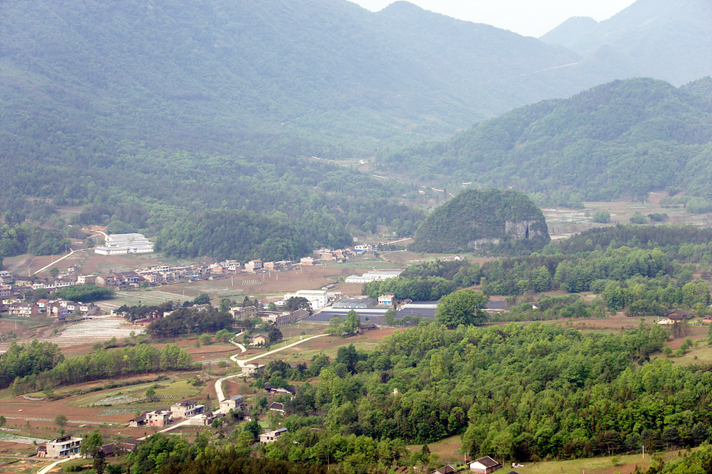 空山天盆 空山天盆