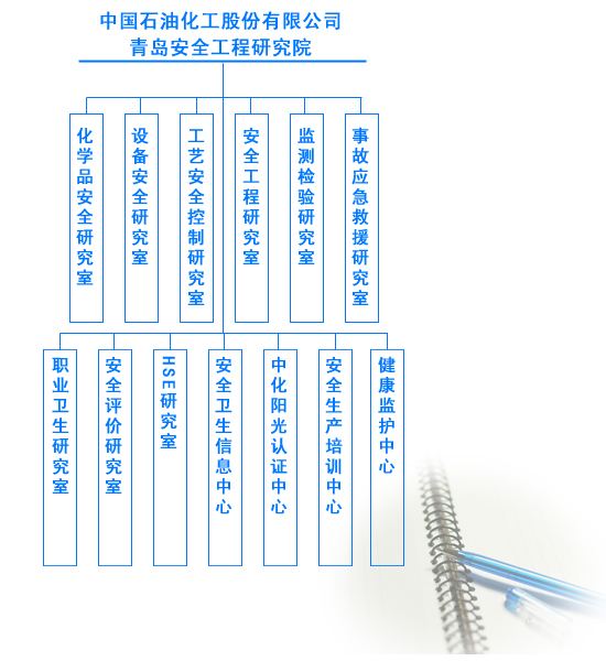 中国石油化工股份有限公司青岛安全工程研究院 中国石油化工股份有限公司青岛安全工程研究院