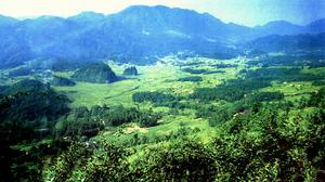空山森林公园 空山森林公园