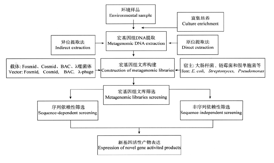 宏基因组 宏基因组