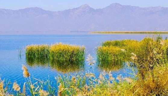 哈素海湿地自然保护区 哈素海湿地自然保护区