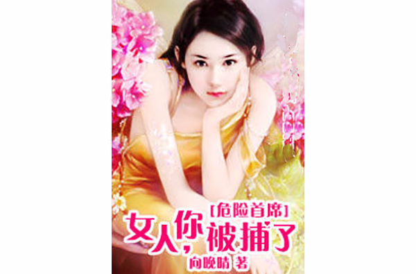 危险首席：女人，你被捕了