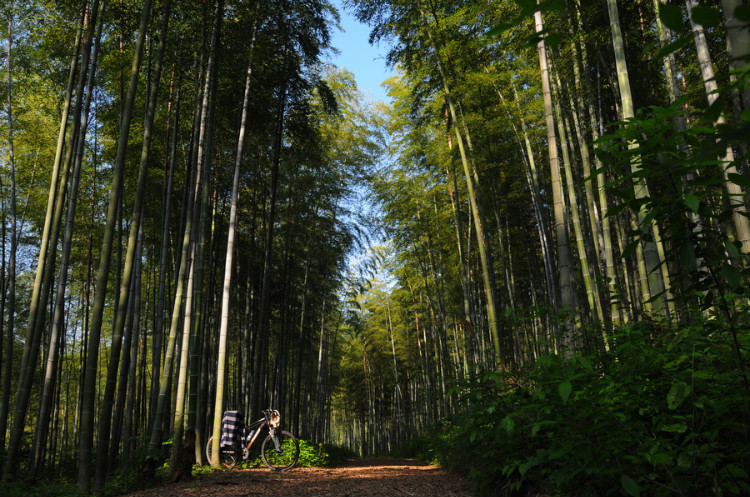 南坑村 南坑村
