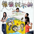 原来我不帅(2008年林俊杰主演电视剧)