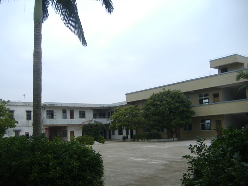 化州市杨梅镇塘头国小