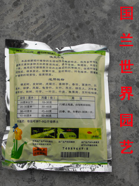绿叶宝 绿叶宝