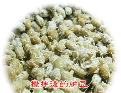 纳豆菌家庭製作的纳豆 纳豆菌家庭製作的纳豆