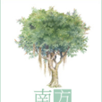 南方有乔木(作者：小狐濡尾)