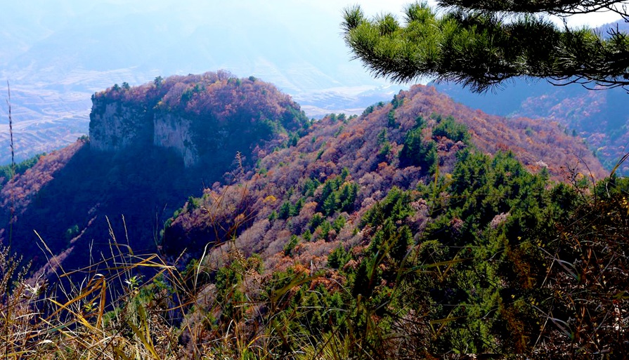 紫荆山 紫荆山