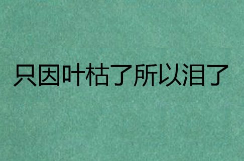 只因叶枯了所以泪了