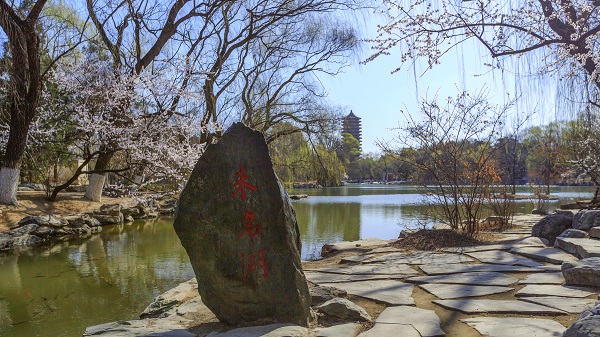 未名湖 未名湖