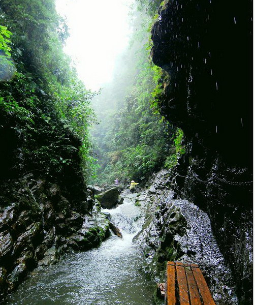古丈县(古丈) 古丈县(古丈)
