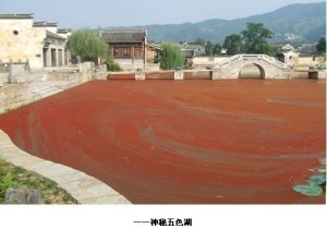 神秘五色湖 神秘五色湖