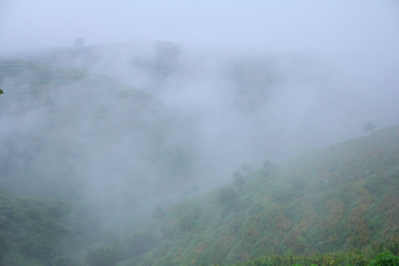 酸角基地 酸角基地