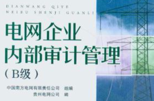 电网企业内部审计管理
