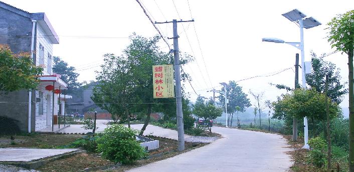 新江口镇 新江口镇
