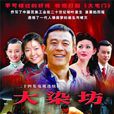 大染坊(2002年王文杰执导电视剧)