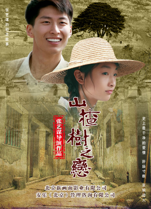 电影《山楂树之恋》海报 设计:马东慧 电影《山楂树之恋》海报 设计:马东慧