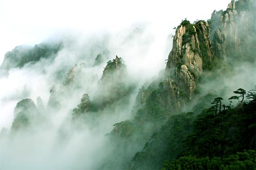 三清山峰林 三清山峰林