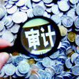 审计业务管理