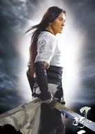风云2(2009年郭富城、郑伊健主演电影)