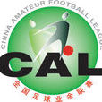 2009年全国足球业余联赛