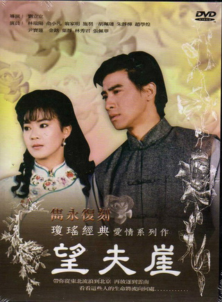 施羽(中国影视男演员)