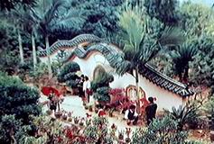 百花村(福建龙海市九湖镇下辖村) 百花村(福建龙海市九湖镇下辖村)