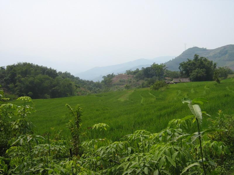 村中田园