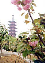 光福镇 光福镇