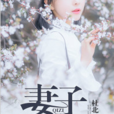 妻子的谎言(黑岩网小说)