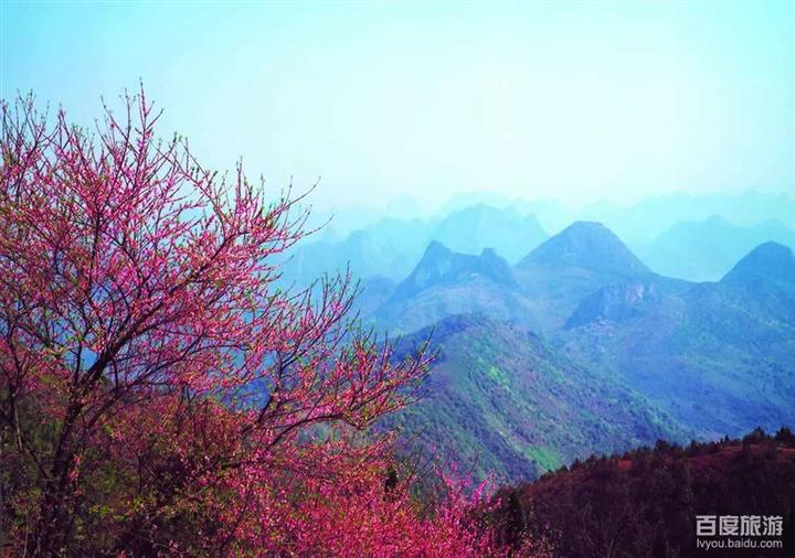 任城区 任城区