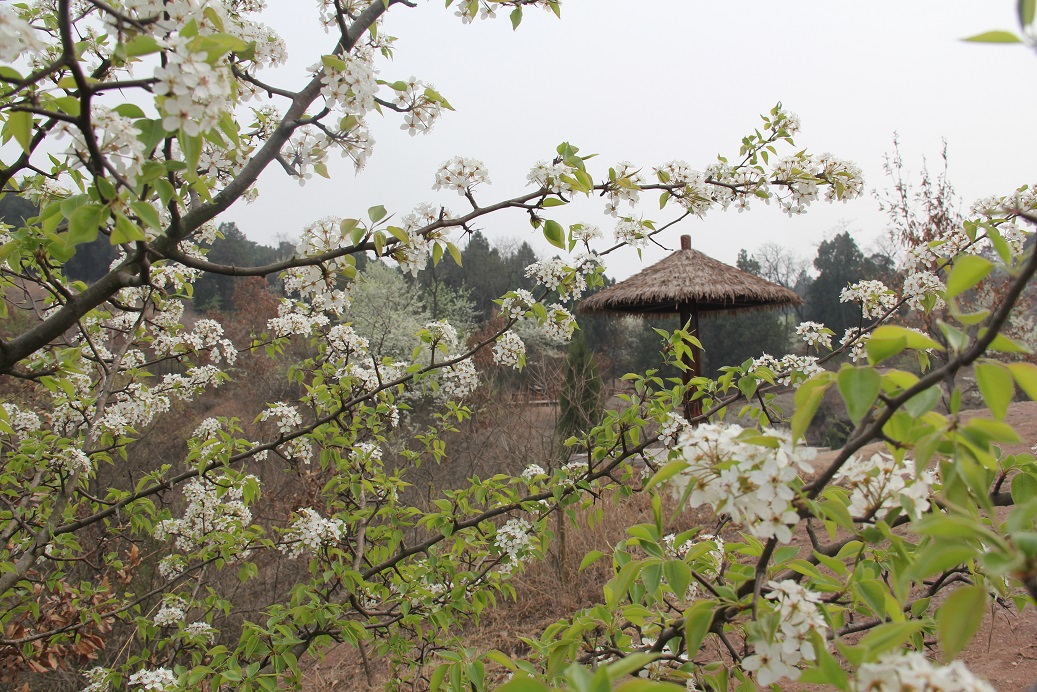 马陵山风景名胜区(马陵山风景区) 马陵山风景名胜区(马陵山风景区)