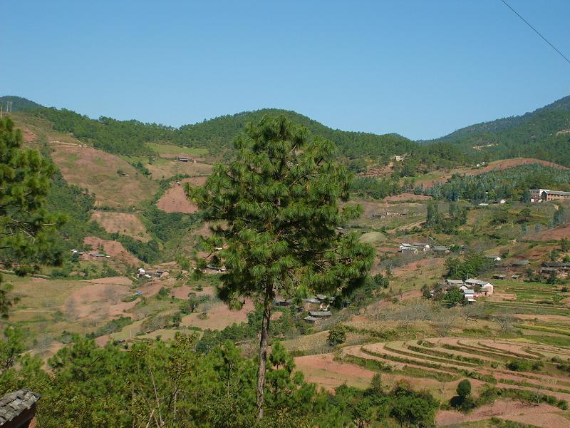 龙潭村(云南省大理州漾濞县龙潭乡龙潭村)