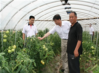 高陇镇