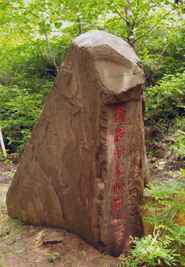 郯城县(郯城)