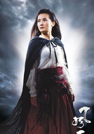 风云2(2009年郭富城、郑伊健主演电影)