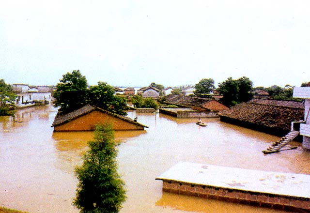 1998年长江特大洪水 1998年长江特大洪水