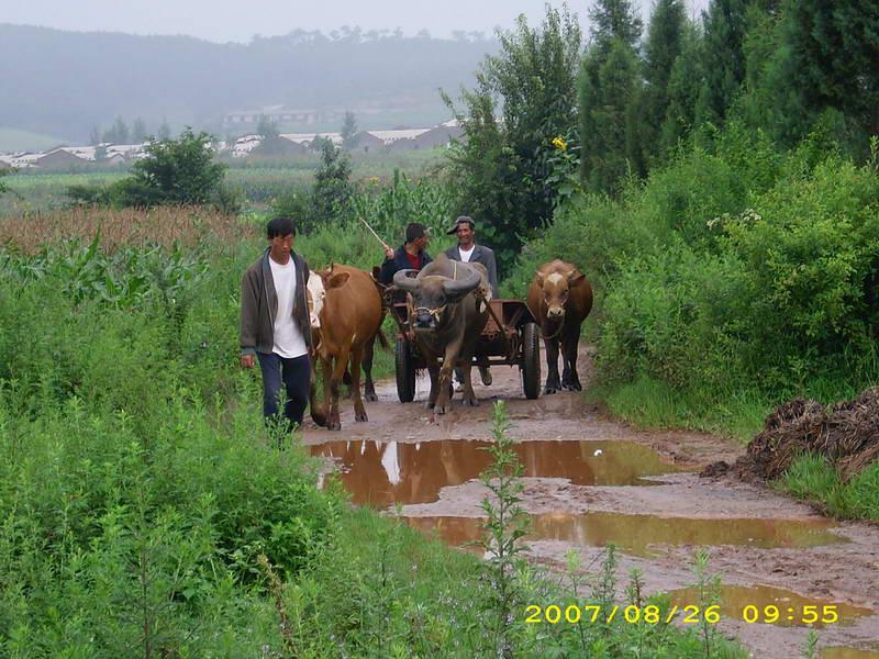 村民劳动场景 村民劳动场景