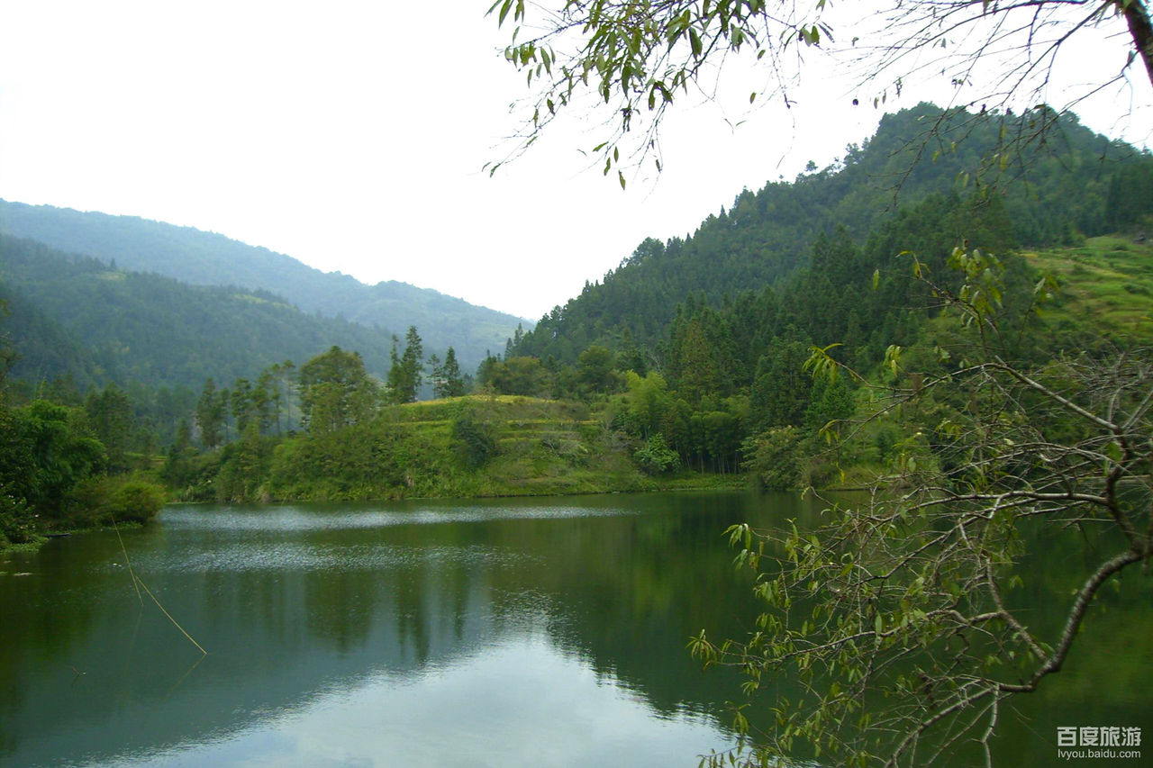 龙塘(湖南省安化县辖村)