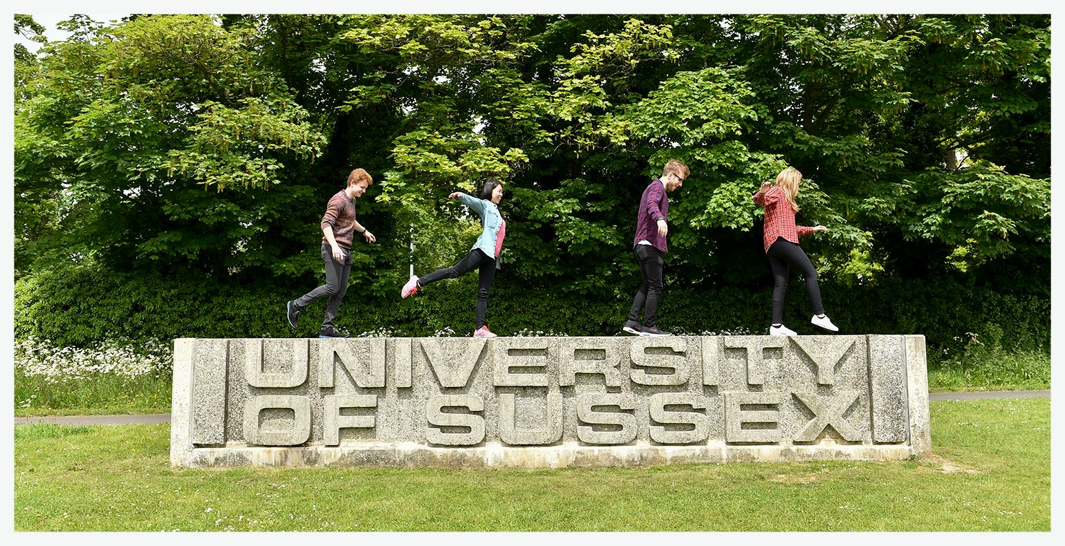 萨塞克斯大学