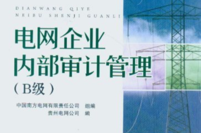 电网企业财务审计管理